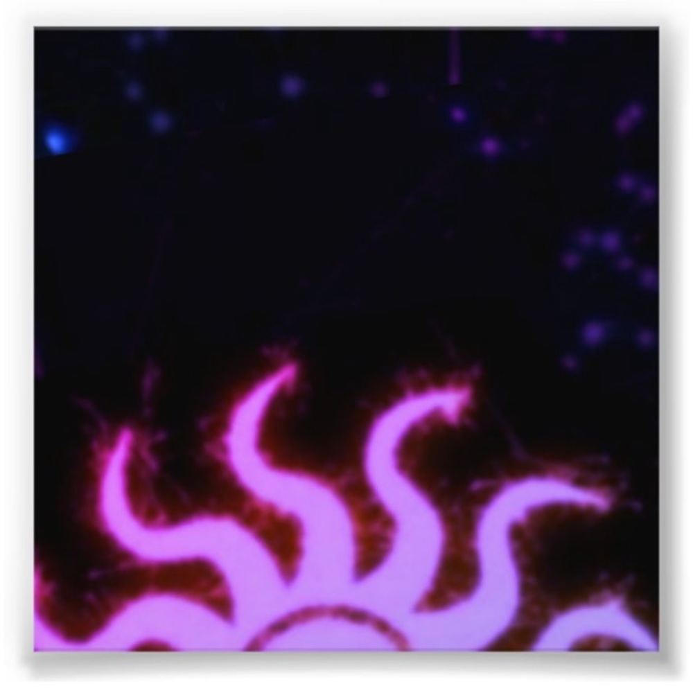 ✨🌙AstrologicWear photo